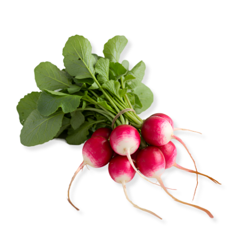 RADISHES - GROWING