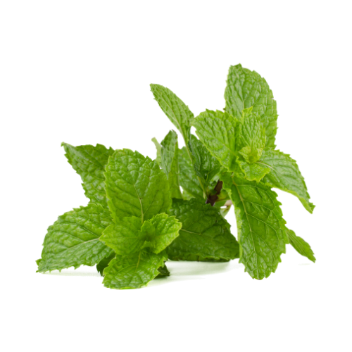 Peppermint