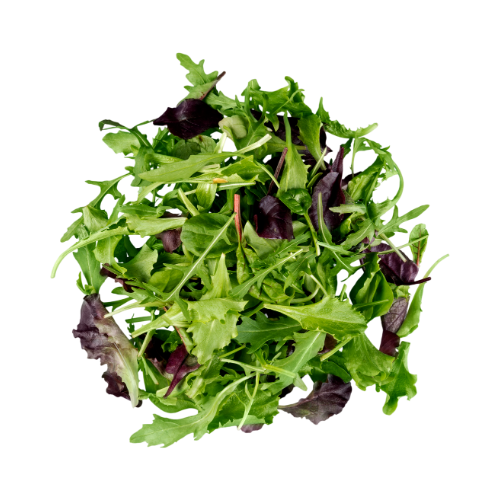 SALAD MIX - GROWING